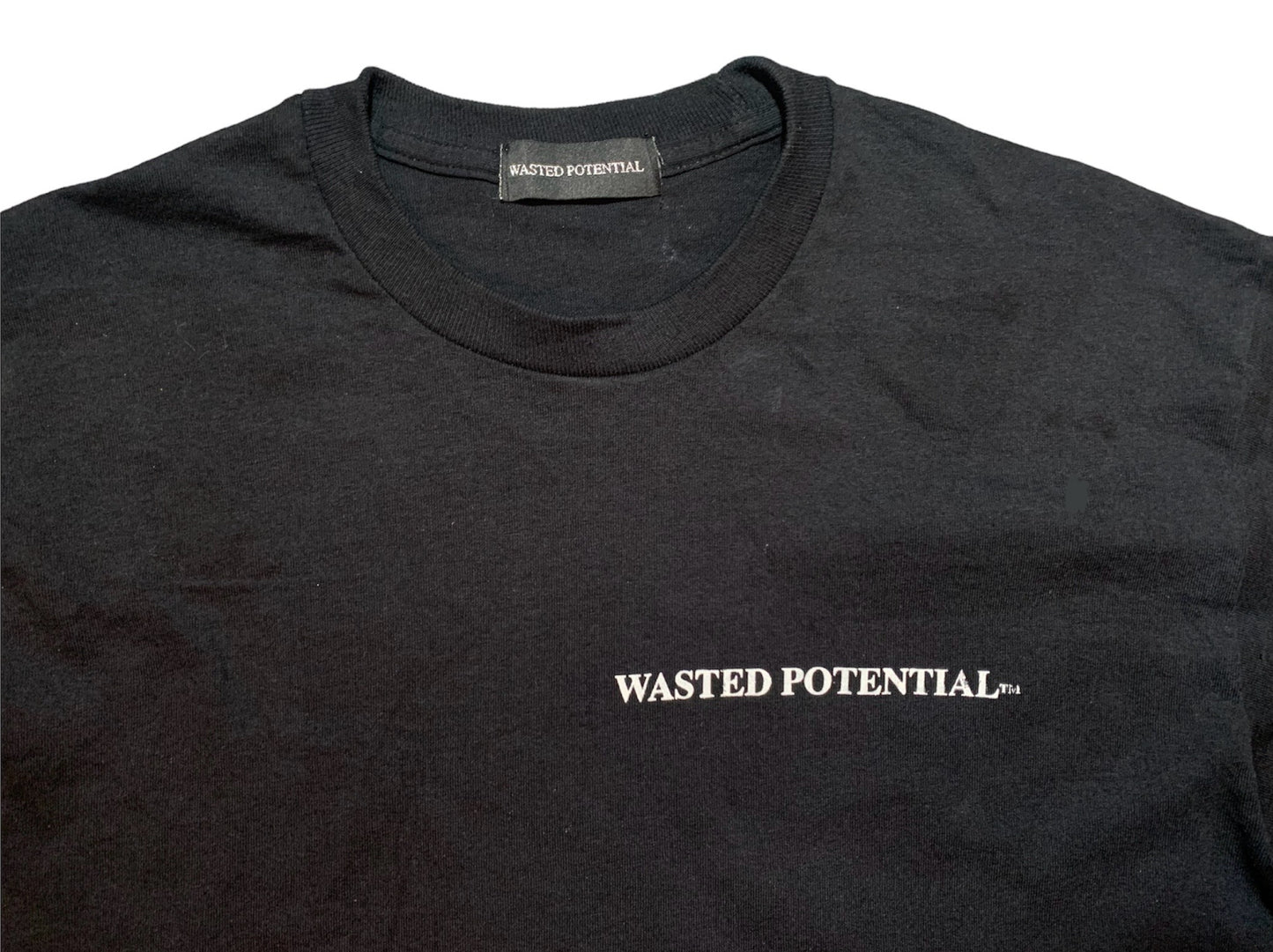 WASTED POTENTIAL Staple Logo Long Sleeve Tee