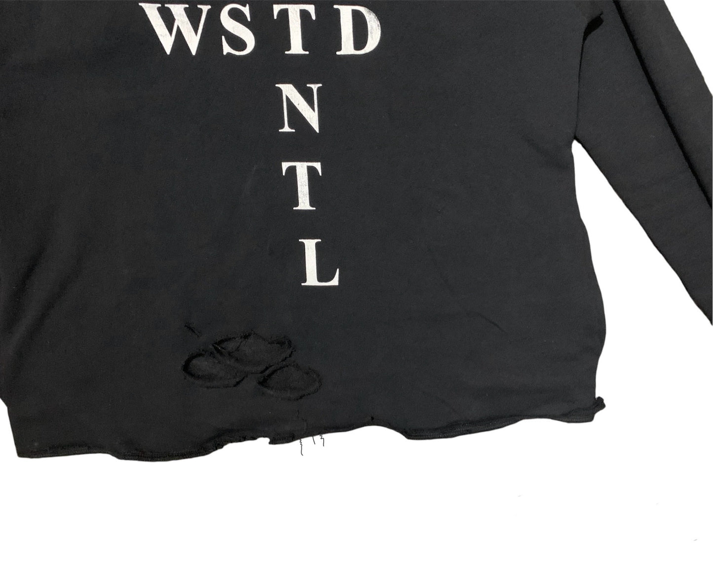 WASTED POTENTIAL Cropped Signature Cross Logo Hoodie