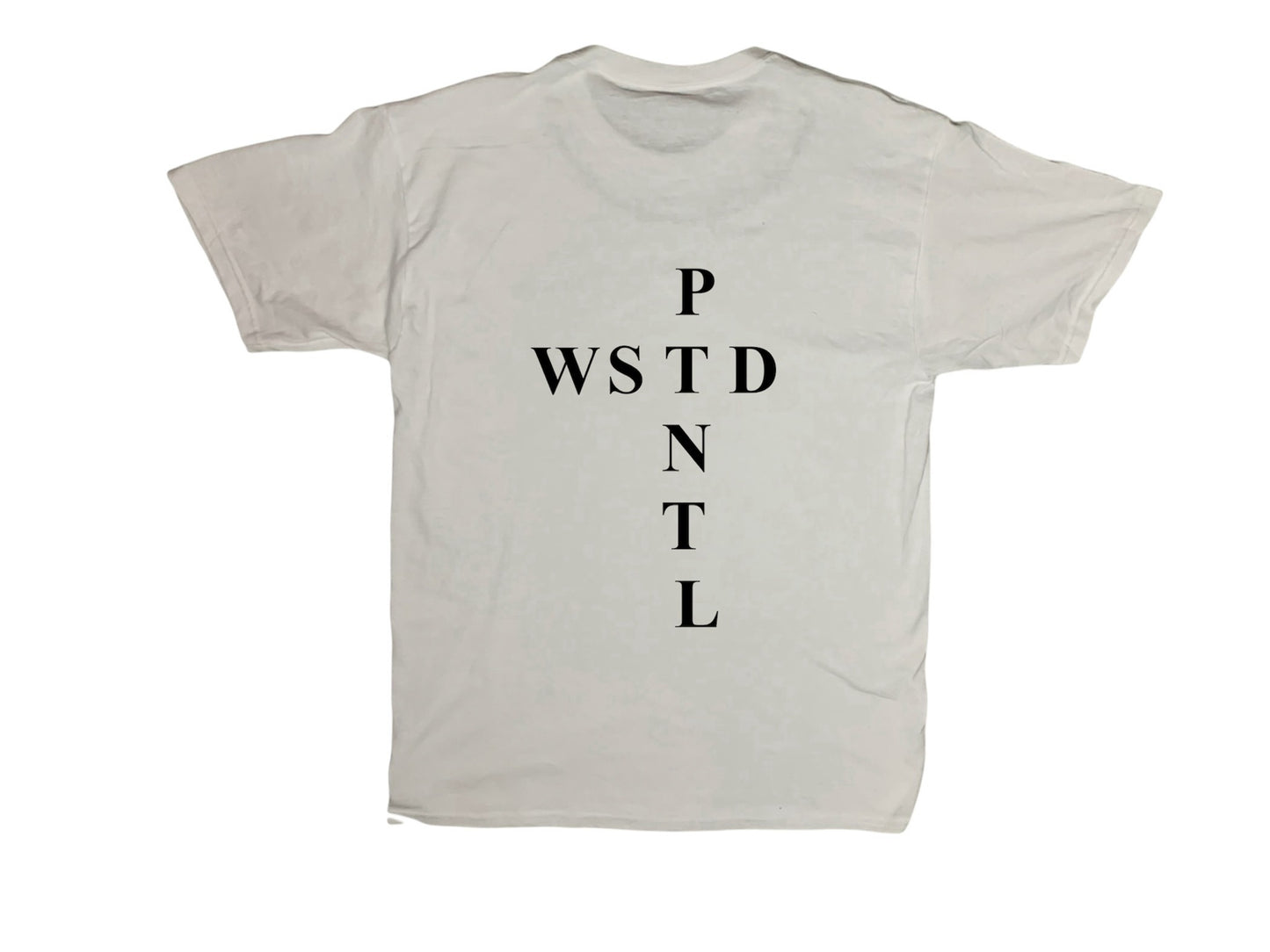 WASTED POTENTIAL Barbed-Wire Tee