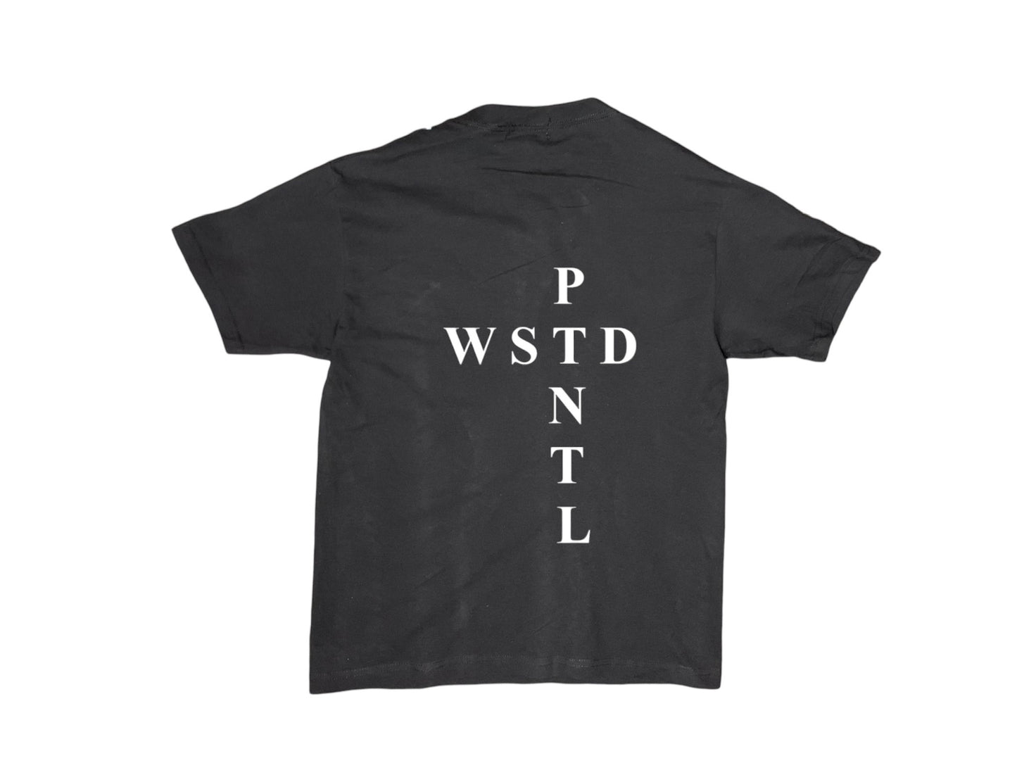 WASTED POTENTIAL Barbed-Wire Tee